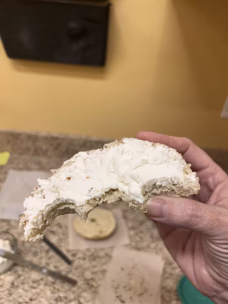 Homemade yogurt cheese